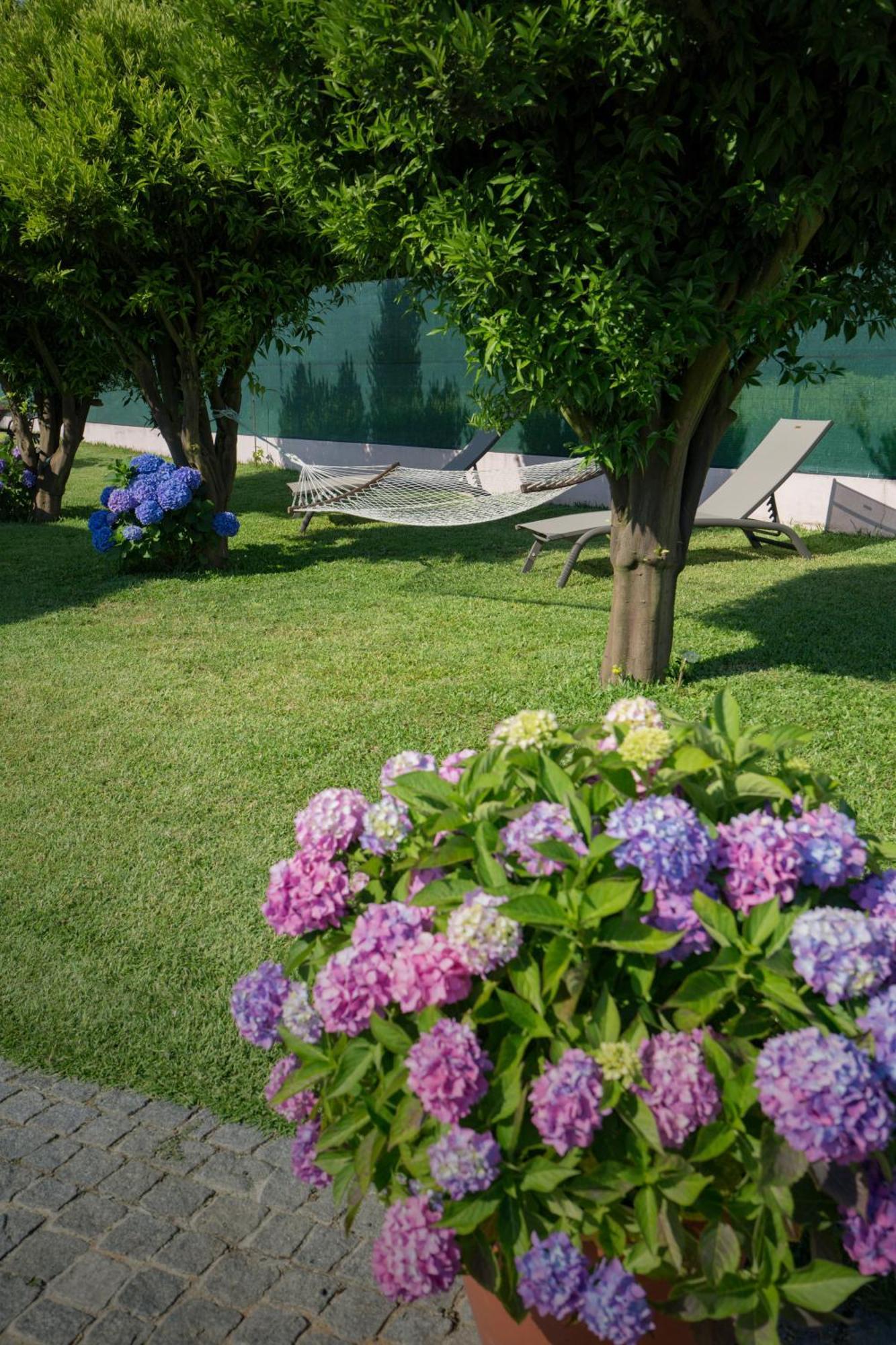 Suite Em Viana Do Castelo Exteriér fotografie