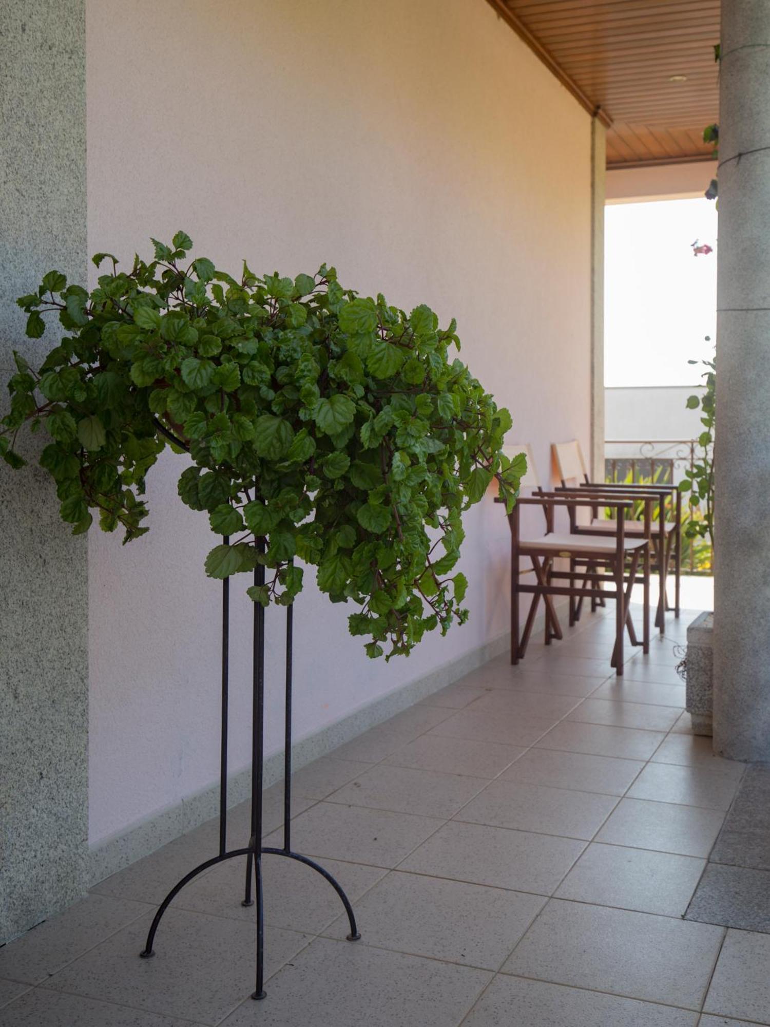 Suite Em Viana Do Castelo Exteriér fotografie